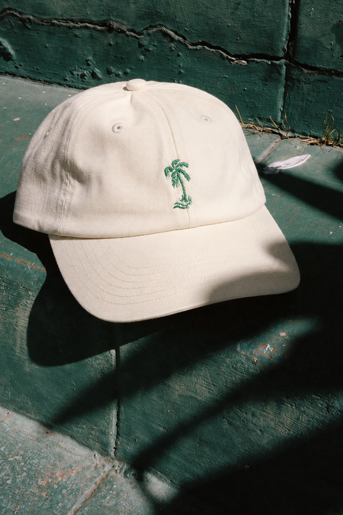 SEA STREET ICON PALM CAP