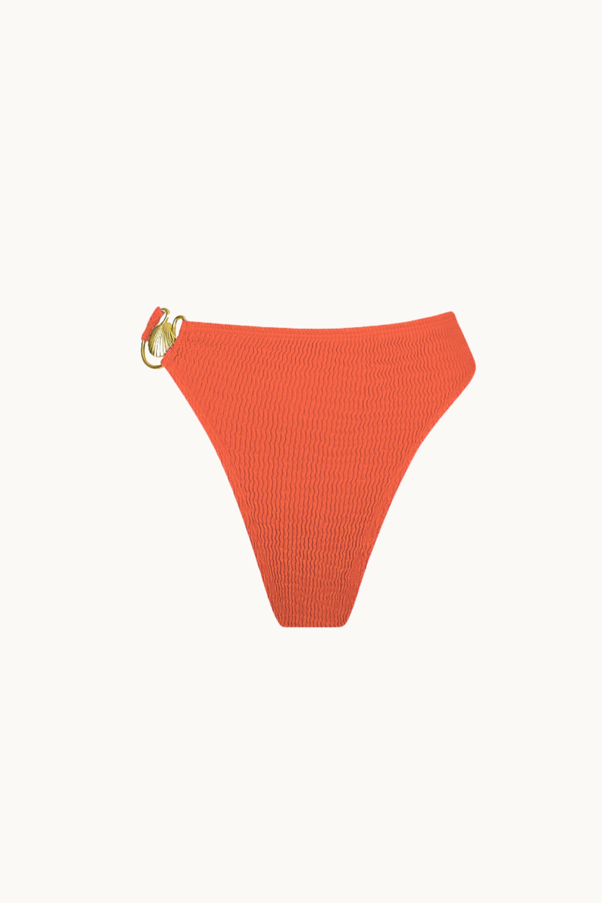 SHELLY HIGH BRIEF - ALL COLOURS