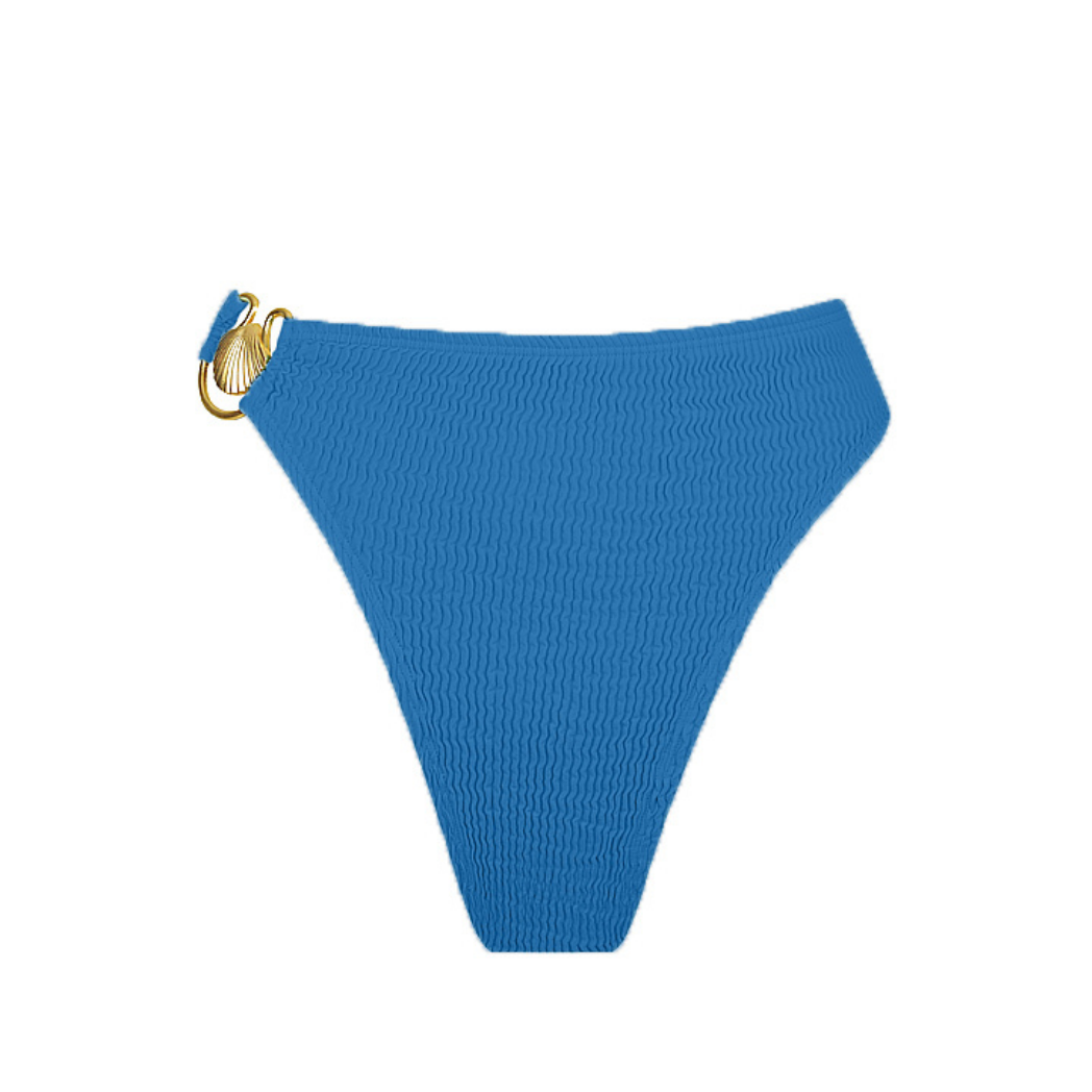 SHELLY HIGH BRIEF (all colours)